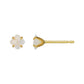[Second Earrings] 18K Lily Cut Moonstone Earrings (Yellow Gold) - Product Image
