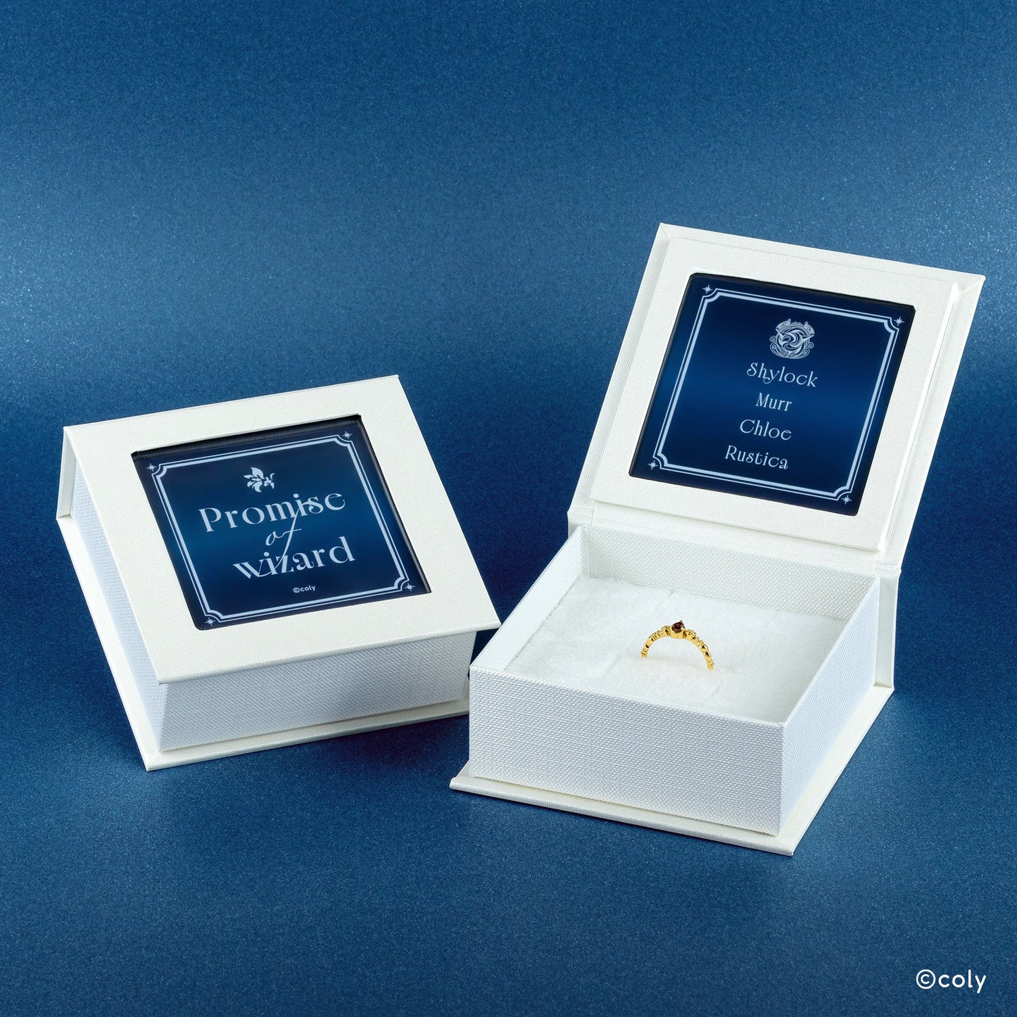 Promise of wizard - Silver Ring (Rustica)