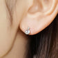 10K Sky Blue Topaz Stud Earrings (White Gold) - Model Image