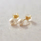 18K Freshwater Pearl Stud Earrings [4mm] (Yellow Gold) - Product Image