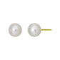 18K Freshwater Pearl Stud Earrings [6mm] (Yellow Gold) - Product Image
