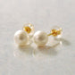 18K Freshwater Pearl Stud Earrings [6mm] (Yellow Gold) - Product Image