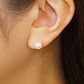 18K Freshwater Pearl Stud Earrings [6mm] (Yellow Gold) - Model Image