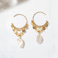 Gold Filled Freshwater Pearl Earrings [Nature Coin] - Product Image