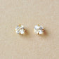 [Second Earrings] 18K Blue Moonstone French Cut Earrings (Yellow Gold) - Product Image