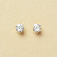 [WEB Exclusive] 10K Simple Circle Earrings (Yellow Gold) - Product Image