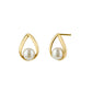 18K/10K Dew Drop Design Akoya Pearl Earrings (Yellow Gold) - Product Image