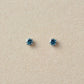 [Second Earrings] Platinum Blue Diamond Earrings - Product Image