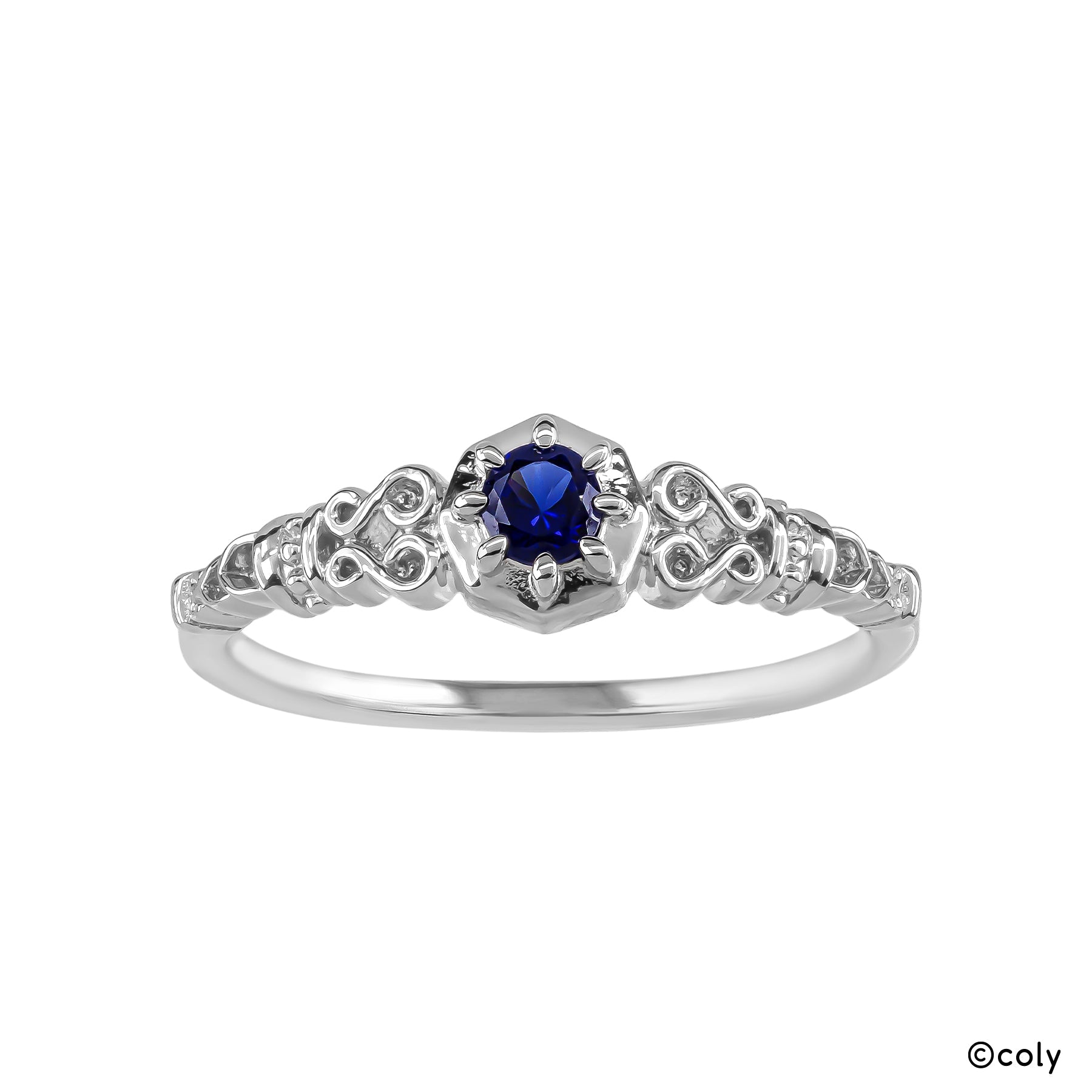 Promise of wizard - Silver Ring (Nero)