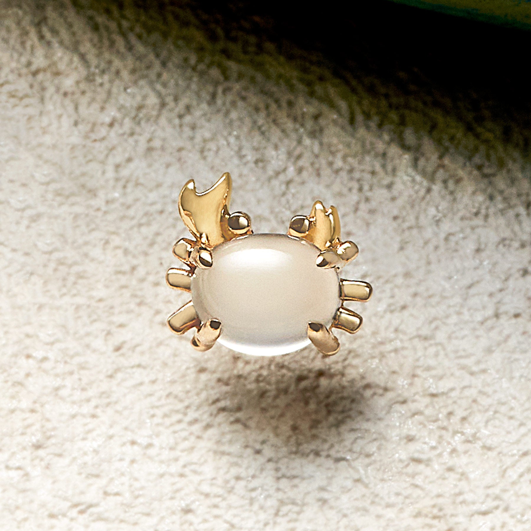 [Solo Earring] 10K Crab Single Earring (Yellow Gold) - Product Image
