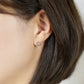 [Debut] 5K / 925 Sterling Silver / SUS Moissanite Earrings [Showtime] - Model Image