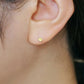 [Second Earrings] Platinum Yellow Sapphire Earrings - Model Image