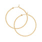 Gold Filled Twisted Hoop Earrings - Product Image