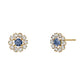 18K / 10K Yellow Gold Tanzanite Circle Earrings - Product Image