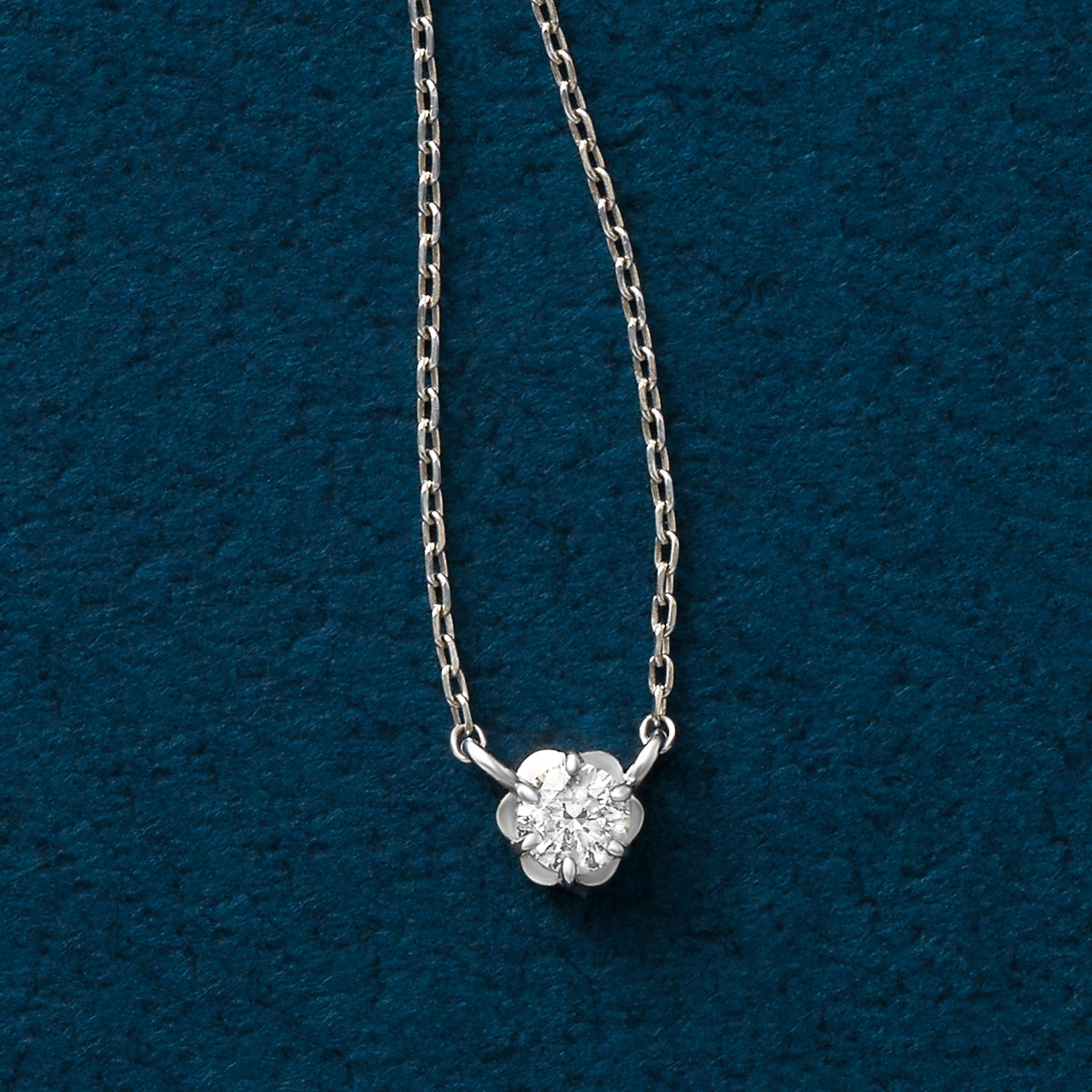 Fiolette Setting Single Diamond Necklace 0.07ct (10K White Gold) - Product Image