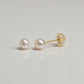 18K Yellow Gold Pearl Small Earrings [4mm] - Product Image
