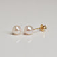 18K Yellow Gold Pearl Small Earrings [5mm] - Product Image