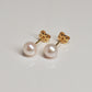 18K Yellow Gold Pearl Small Earrings [5mm] - Product Image