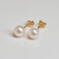 18K Yellow Gold Pearl Stud Earrings (6mm) - Product Image
